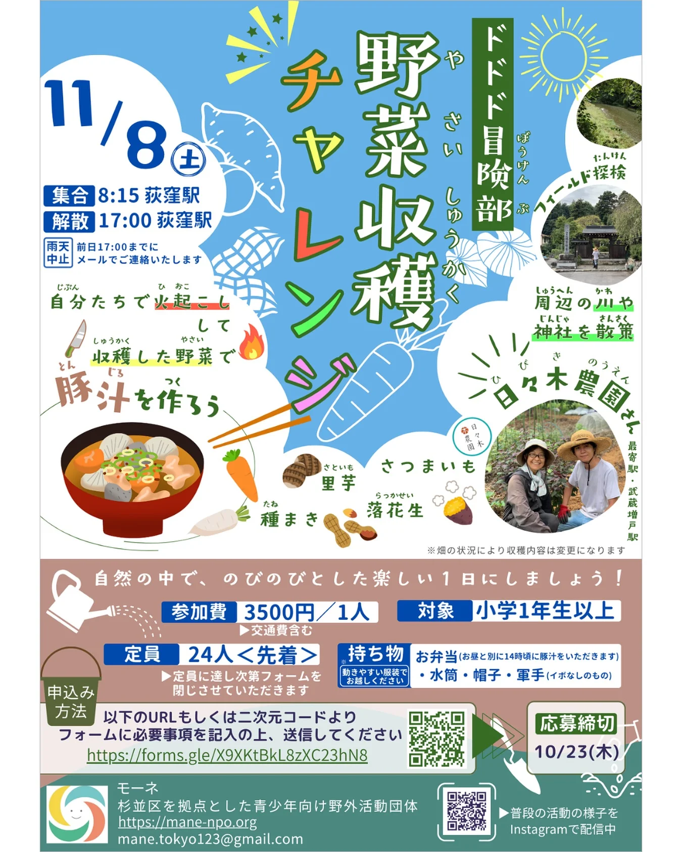 野菜収穫チャレンジ